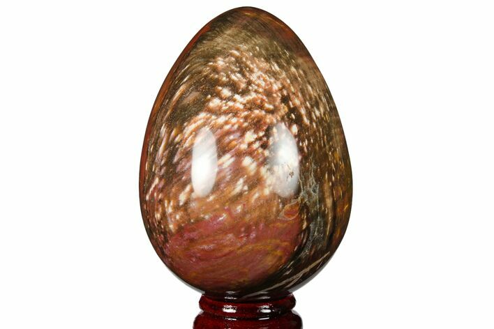 Colorful, Polished Petrified Wood Egg - Triassic #133937